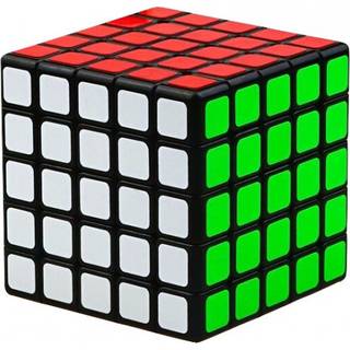 ShengShou Legend 5x5 Black - Professorterning