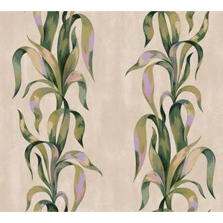 Agave - 9606W
