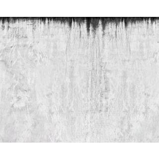 Dark Concrete - 9513W