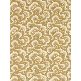 Ludaix Fossil - HHHW113151