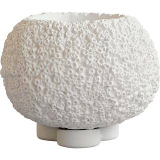 101 COPENHAGEN - Urchin Blomsterskjuler Petit Beehive