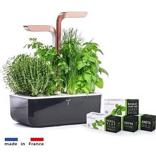 Plantekasse, 33 × 18,5 × 45 cm, "SMART Garden", Copper – Veritable