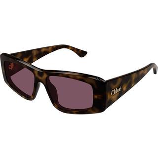 Chloé CH0299S 002 55 Solbriller Kvinder Tortoiseshell - Dark Tortoise - 55mm