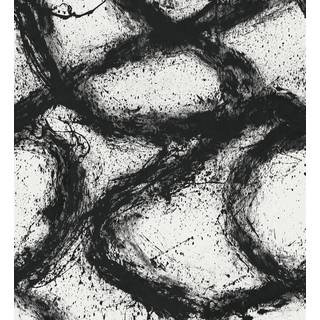 Enigmatic Black Earth/First Light - HRWT113108