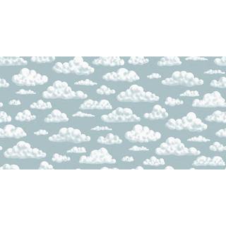 In the Clouds - 9618W