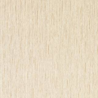 Clarke & Clarke Wallpaper Asper W0205/05