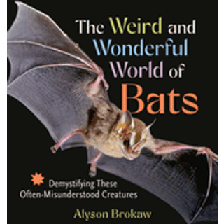 The Weird and Wonderful World of Bats
