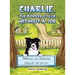Charlie, The Border Collie Without a Job