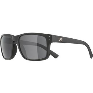 Sunglasses Alpina Kosmic Black Matt/Black