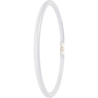 LED-RØR T5 PEX FC 40/55 21,5W 830