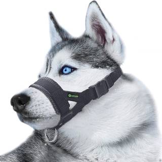 Næseparti til hunde