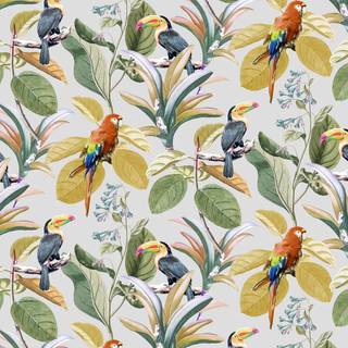 Prestigious Wallpaper Parrot 1833/502