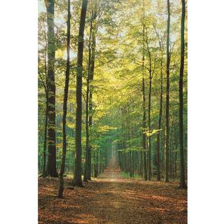 Eurografik skovsti plakat 36 x 24 tommer