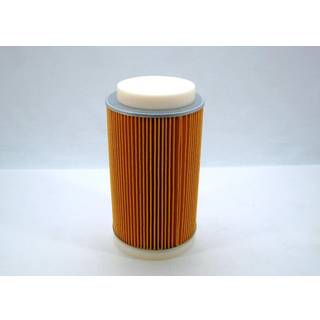 Kawasaki OEM Air Filter Teryx Teryx4 11029-0025