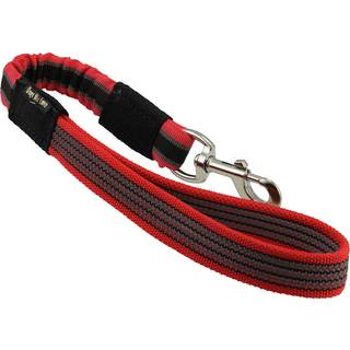 Bungee Shock Absorberende hund Kort snor Large 20 """" Long 1 """" Bred trafikledende r?d r?d