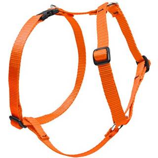 Lupinepet Basics 1 """" Blaze Orange 24-38 """" Justerbar romersk hundesele til store hunde