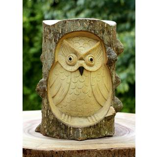 G6 -kollektion unik h?ndlavet tr? ugle fra krokodille tr? statue figur Hoot skulptur kunst dekorativ rustik boligindretning accent h?ndlavet deko