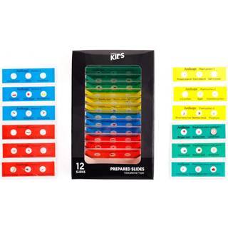 AmScope-36pc B?rn forberedt mikroskopglass?t med farvekodet zoologisk og botanisk forberedt pr?ve-lysbilleder -ps-P12x3-A