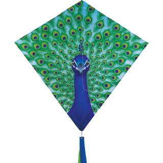 I brisen 3291 - p?fugl 30 tommer diamant drage - sjov let flyvende drage