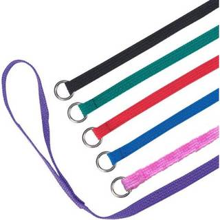 Downtown Pet Supply Slip Lead Dog Leash 24 Pack 4 'X 1/2 """" - Universal Dog Slip Leash With Metal O Ring - Machine Washing Dog Slip Lead for Groo