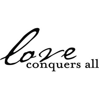 Die snit med udsigt Vinyl kærlighed erobrer alt sort medium