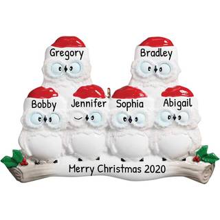 Personaliseret familiegulepynt- brugerdefineret h?ngende ugle ornament familie p? 6 julepynt 2024 Tilpasset jule ugle Familie Ornament Jule Owl-f