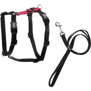 Blue-9 Pet Products No-Pull Balance Harness og Loose Leash Walking Set Dogs Made in the USA Red Medium