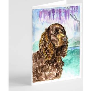 American Water Spaniel lykønskningskort og konvolutter pakning af 8