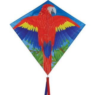 I brisen papegøje 30 tommer diamant drage - enkelt linje - inkluderer kite linje og taske - sjovt trykt design