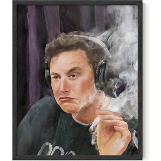 Haus og nuancer Elon Musk -plakater til college sovesal trippy værelse indretning og seje plakater til fyre | Sjove college plakater til fyre sej