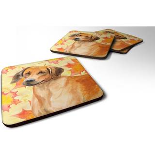 """" Caroline's Treasures Rhodesian Ridgeback Fall Decorative Coasters multicolor """"