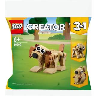 Gavedyr (30666)