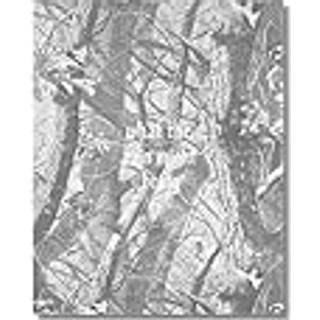 What the Rain Might Bring