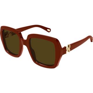 Chloé Kvinde CH0301S 004 Solbriller Acetat Bordeaux Brun Firkantet