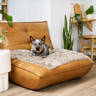 Furhaven Vandtt dkken til hunde og indendrs katte Vaskbar - Shaggy plys beroligende lang imiteret pels & fljl hundetppe - Drivtmmer Medium