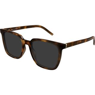 SAINT LAURENT Kvinde SL M146 003 Solbriller Acetat Havana Grå Firkantet