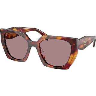 Prada PR 15WSF Asian Fit 22A20I 55 Solbriller Kvinder Tortoiseshell - Poppy Tortoise - 55mm