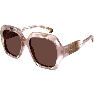 Chloé Kvinde CH0154S 013 Solbriller Acetat Rosa Brun Firkantet