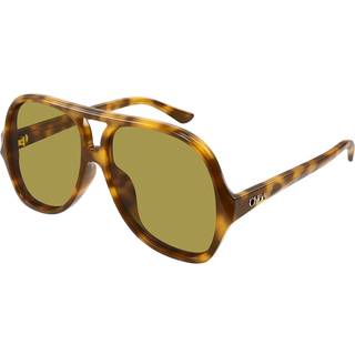 Chloé Kvinde CH0289S 003 Solbriller Acetat Havana Grøn Pilot