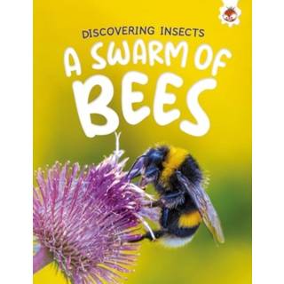 Discovering Insects: A Swarm of Bees