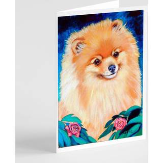 Pomeranian lykønskningskort og konvolutter pakning af 8