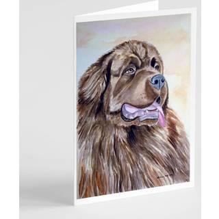 Newfoundland lykønskningskort og konvolutter pakning af 8