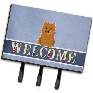 """" Caroline's Treasures Norwich Terrier Welcome Wall Hook Triple Multicolor """"