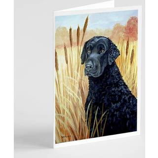 Krøllet coated retriever lykønskningskort og konvolutter pakning på 8