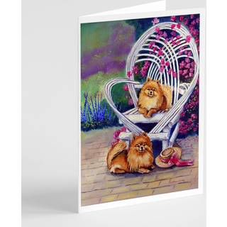 Røde Pomeranians lykønskningskort og konvolutter pakning af 8