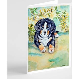 Bernese Mountain Dog Puppy lykønskningskort og konvolutter pakning af 8