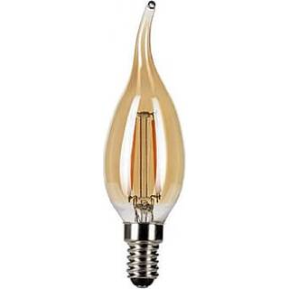 Light Source Antler/Rome