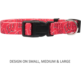 Wisconsin Badgers Pet Collar St?rrelse S - Specialordre