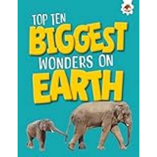 Top Ten Biggest Wonders on Earth
