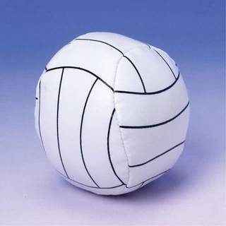 Mini Volleyballs (2-pakken 12)